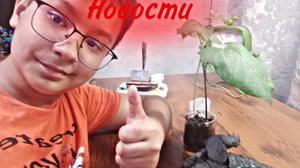 Новости