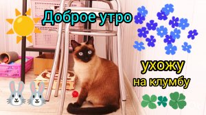Доброе утро 30-05-2025 #жизнь инвалида #поговорим #планы