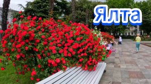 Ялта после дождя: Море, набережная, шансон и конечно же собаки