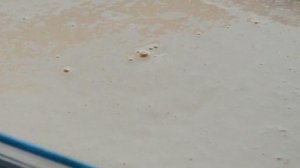 Бисквитный рулет с повидлом