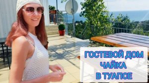 ОБЗОР - Гостевой дом ЧАЙКА в г. Туапсе