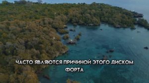 Эти три зудящих места на теле пожилых людей указывают