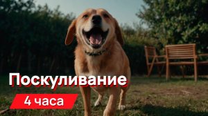 Звуки для соседей - поскуливание