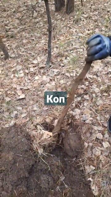 #ютуб #топ #рекомендации #топчик #рек #коп #металлоискат смотреть онлайн