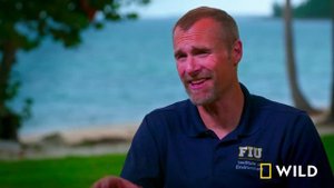 Sharks vs. Dolphins: Bahamas Battleground (Full Episode) | Nat Geo Wild