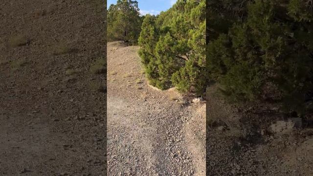 Мой Новый Свет смотреть онлайн