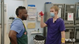 Critter Fixers: Ready, Vet, Go | MEGA EPISODE | Nat Geo Wild
