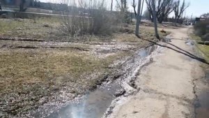 18+ добро. Пошла. Подписка на мой РУТУБЕ. ВК 16.04.2025