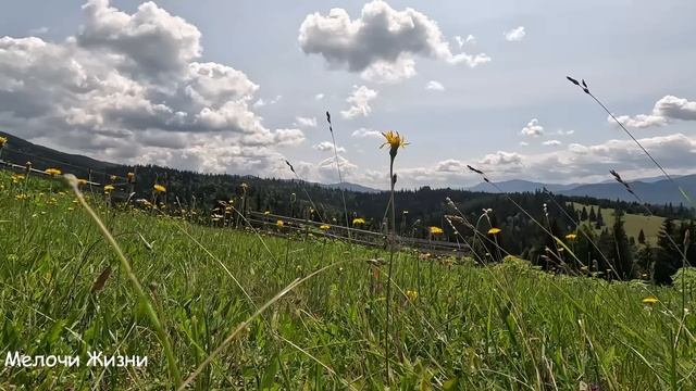 -Жена, вызывай свою маман полы драить будет у моей мате смотреть онлайн