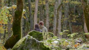 Природа в 360° VR - полное погружение в будущее! - Classical Landscapes -- Ketsa -- Metaphysics