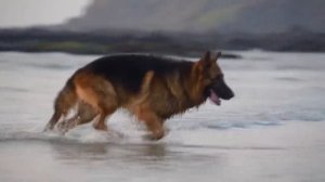 За отказ девушки, бандит сотворил то, отчего волосы ды?