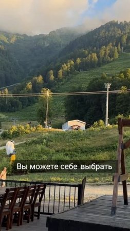 Гусь не захотел общаться — и это тоже нормально😀