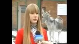 Девушки тоже пердят смотреть онлайн