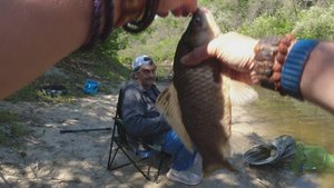 ЖОР КАРАСЯ НА ДИКОЙ РЕКЕ