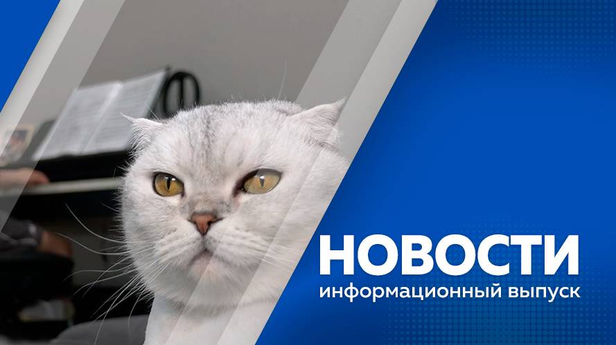 Новости 29.05.2025г