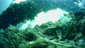 1000043768.mp4Волга гл.5м.30.05.2025г.