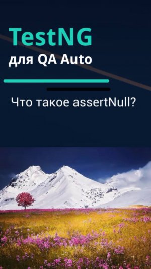 TestNG для QA Auto. Что такое assertNull()?