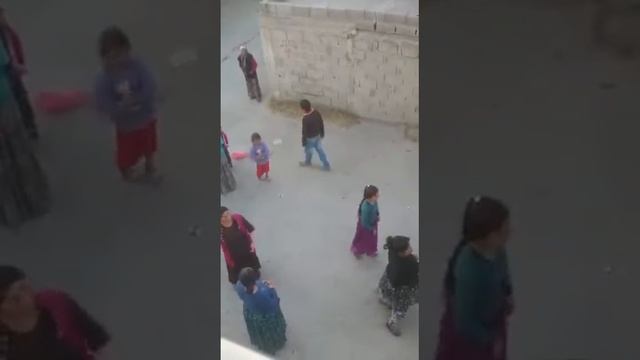 Приколы смотреть онлайн