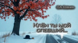 Клён ты мой опавший... | С.А. Есенин | Песня-эхо осеннего ?
