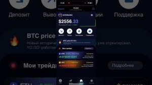 Заработок за 30 Минут с YO GO и Правильным Подходом