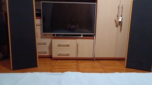 magnepan SMG se+luxman l 570+eversolo DMP a6