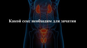 Какой секс необходим для зачатия?