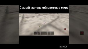 Самые маленькие и самые большие предметы в игре school boy runaway 3