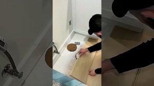 история
