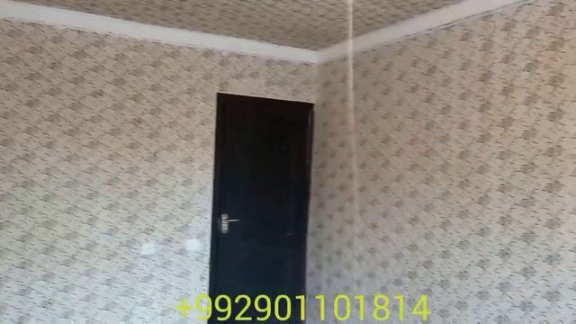 гулои ороиши бо узорные валик дар нохмяи вахш бохохиш?