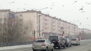 КАК НОРИЛЬЧАНЕ ПРОВЕДУТ ЛЕТО?, 30.05.2025