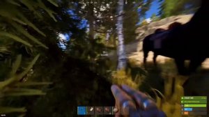 ОБЗОР RUST 2024-2025: КОГДА УМРЕТ ИГРА? СЕРВЕРА ЗАКРОЮТ?! КОНК