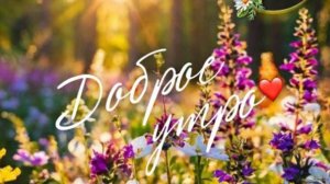 Доброе утро пятницы! Удачной пятницы и хорошего дня #пятница