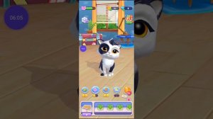 Котик Тамагочи