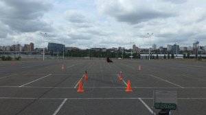 GGP 2025 S1 H1 Садов 58.11