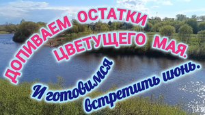 ДОПИВАЕМ ОСТАТКИ ЦВЕТУЩЕГО МАЯ.