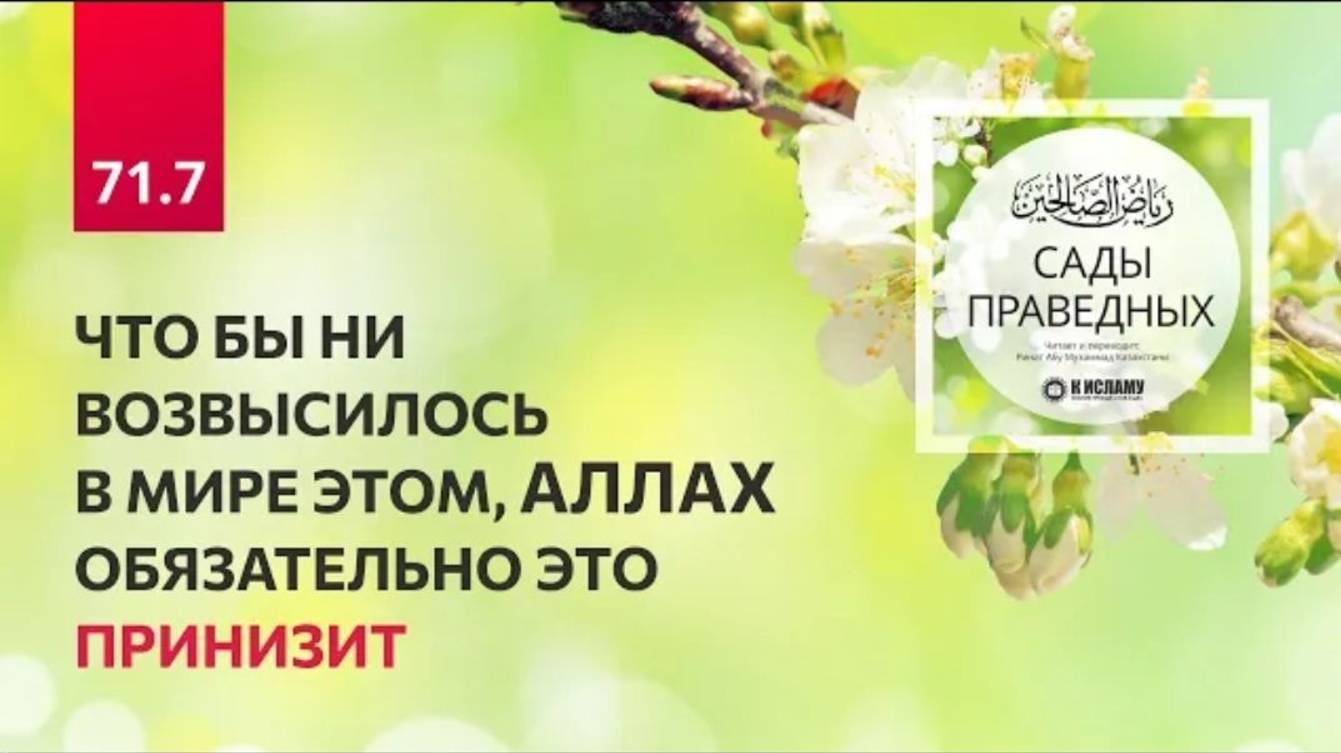 71.7  Что бы ни возвысилось в мире этом, Аллах обязательно принизит. Хадисы 608–611