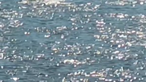 На теплоходе музыка играет - Ольга Зарубина.