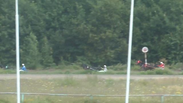 31.07.2016 г. 2-й заезд Приз Гильдейца 1-й гит