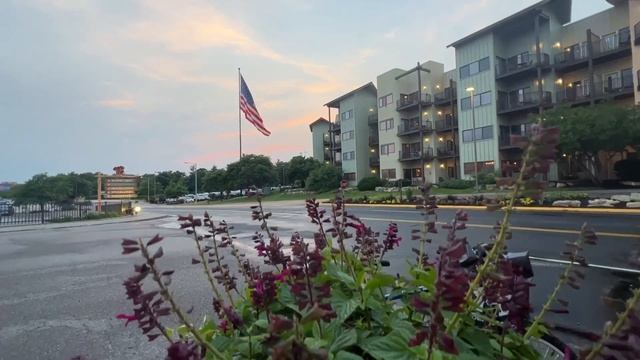 Моя Американская История (ЧАСТЬ 3) | РАБОТА в АМЕРИКЕ (Wor смотреть онлайн