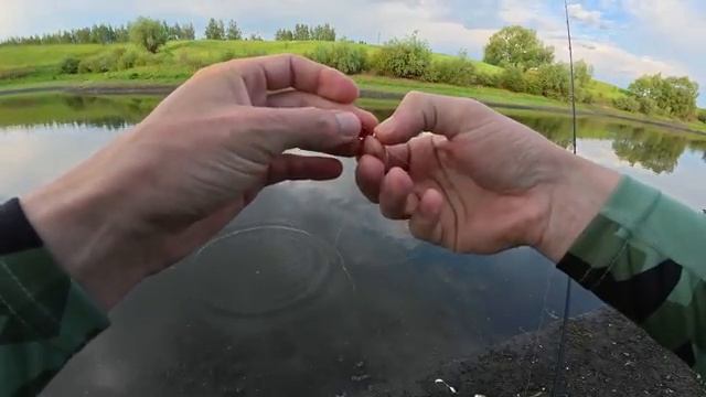 МОЩНАЯ РЫБА ЗАВЯЗЫВАЕТ СПИННИГ В УЗЕЛ, НЕ МОГУ С НЕЙ СОВЛАДАТЬ! Впервые такая Рыбалка 2025.