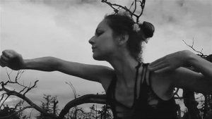 NARTANA. VOTTOVAARA.