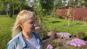 Приехали на дачу🏡 в деревню#Привезла рассаду🌱#23мая2025