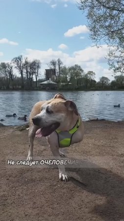 Очеловечить человека