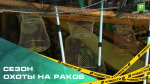 Сезон охоты на раков. Как рыбачить и не нарваться на штрафы?