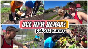 ВЛОГ! Всей семьёй на даче🤗/Посадили лук севок/Перцы, огурцы и баклажаны в теплицу🔥/Все при делах!