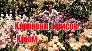 Тысячи радужных ирисов очаровывают и опьяняют всяк сюда входящего!