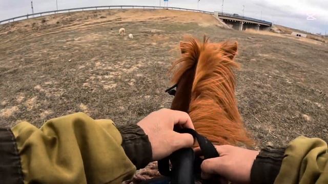 МОЙ ПЕРВЫЙ ДЕНЬ ПАСТУХОМ: ЧТО ЗНАЧИТ ПАСТИ ОВЕЦ В СТЕП?