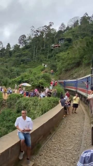 Девятиарочный мост в Элле  Шри-Ланка