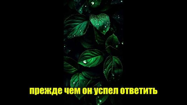 Во время моей свадьбы я бесследно исчезла; Год спустя ? смотреть онлайн