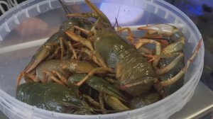 Обзор магазина морепродуктов ИКОРЫЧ город Казань